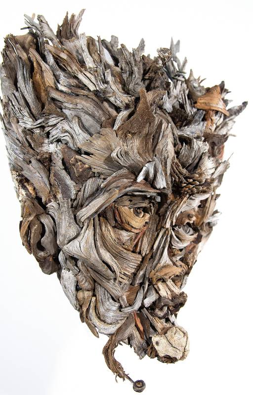 Amazing Head Sculptures Made Of Found Wood By Eyevan Tumbleweed 17