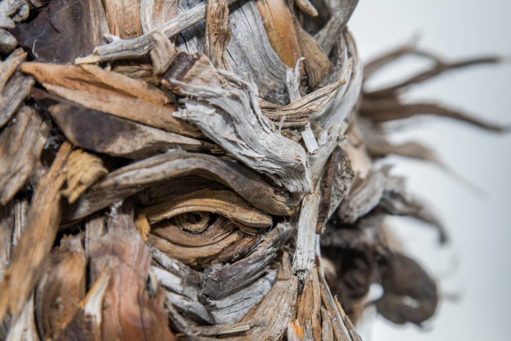 Amazing Head Sculptures Made Of Found Wood By Eyevan Tumbleweed 4
