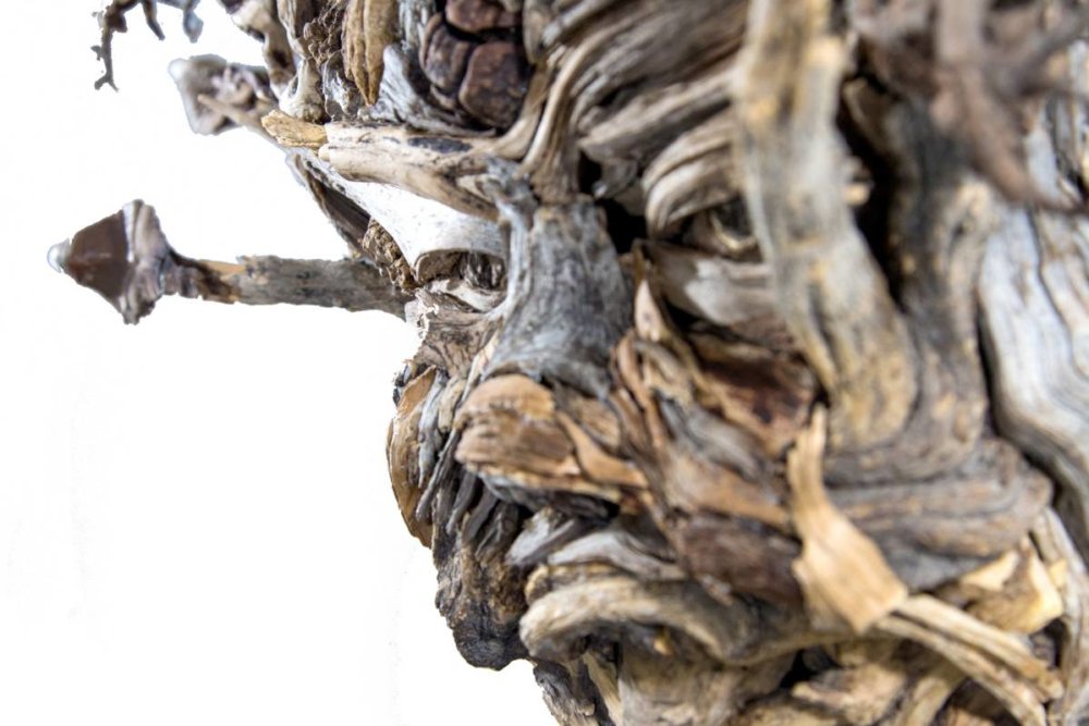 Amazing Head Sculptures Made Of Found Wood By Eyevan Tumbleweed 6