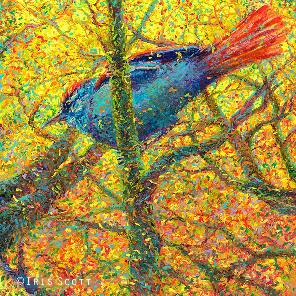 Colorful impressionistic oil paintings painted entirely with the fingers by Iris Scott 12
