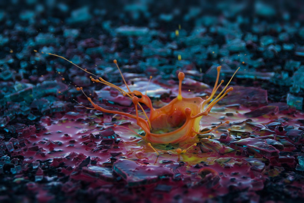 Colorful Macro Experiments With Liquids By Alberto Seveso 5