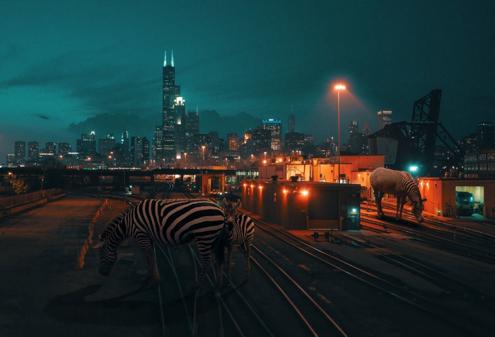 Cyberpunk Scenarios Of Wild Animals Roaming Around Nightly Cityscapes By Carlos Jimenez Varela 4