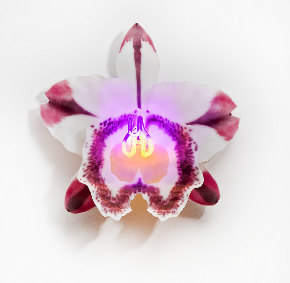 Delicate Orchid Glass Sculptures With Neon Lights By Laura Hart 1