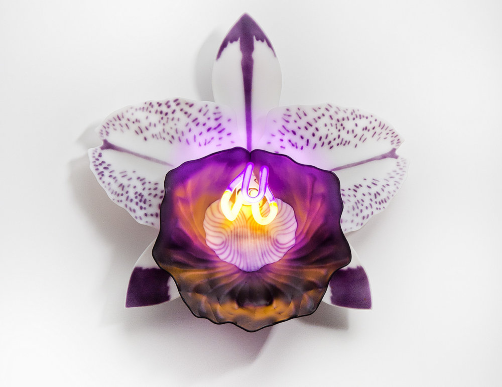 Delicate Orchid Glass Sculptures With Neon Lights By Laura Hart 2