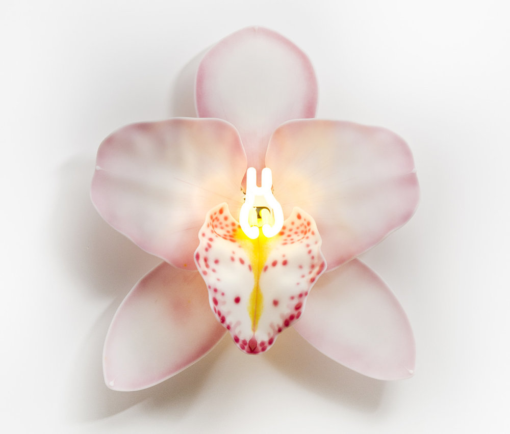 Delicate Orchid Glass Sculptures With Neon Lights By Laura Hart 3