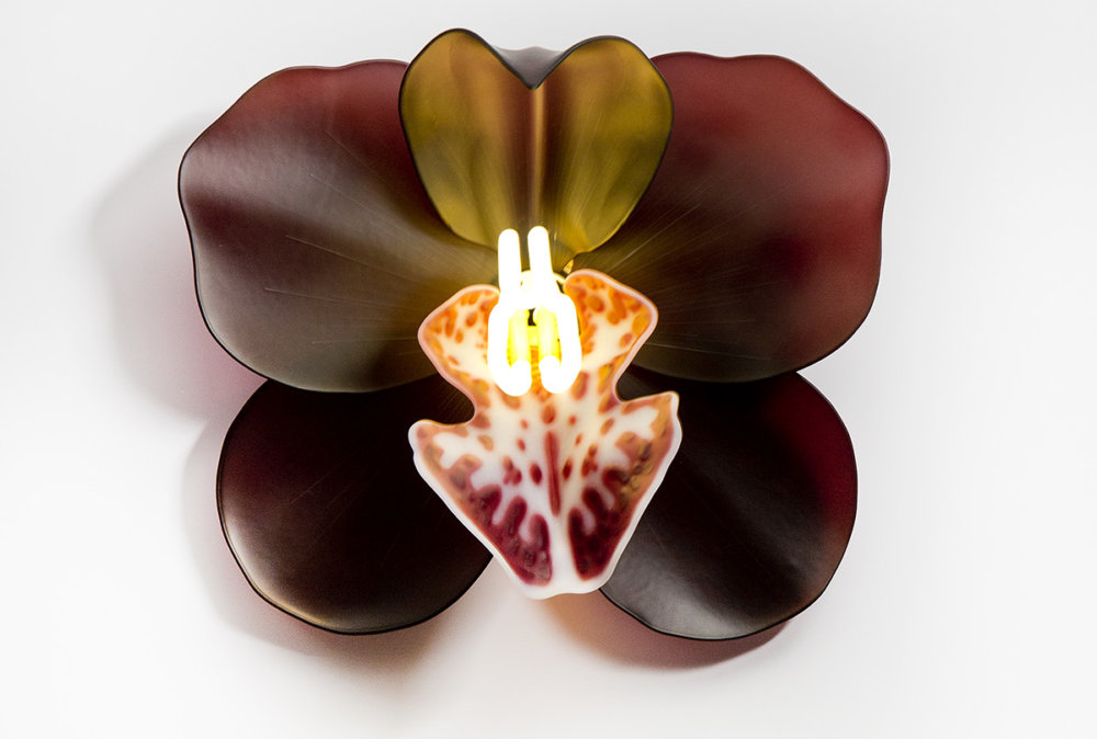 Delicate Orchid Glass Sculptures With Neon Lights By Laura Hart 5