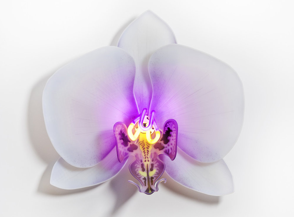 Delicate orchid glass sculptures with neon lights by Laura Hart