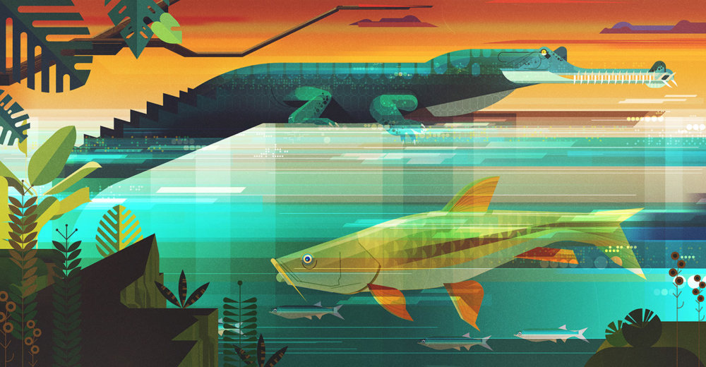 Gorgeous Editorial Illustrations Of Endangered Animals For The Book Saving Species By James Gilleard 10