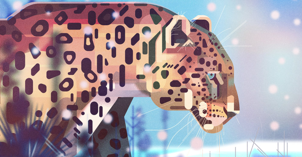 Gorgeous Editorial Illustrations Of Endangered Animals For The Book Saving Species By James Gilleard 4
