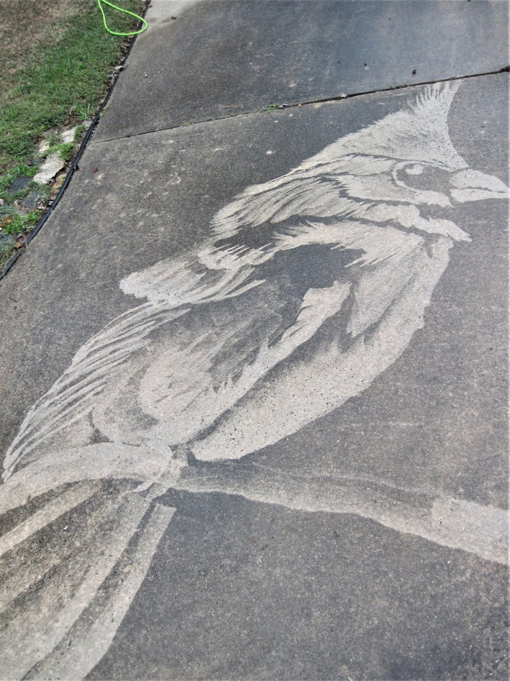 Gorgeous Figures Painted With A Power Washer On Dirty Driveways By Dianna Wood 1