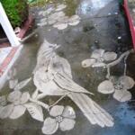 Gorgeous figures ‘painted’ with a power washer on dirty driveways by Dianna Wood