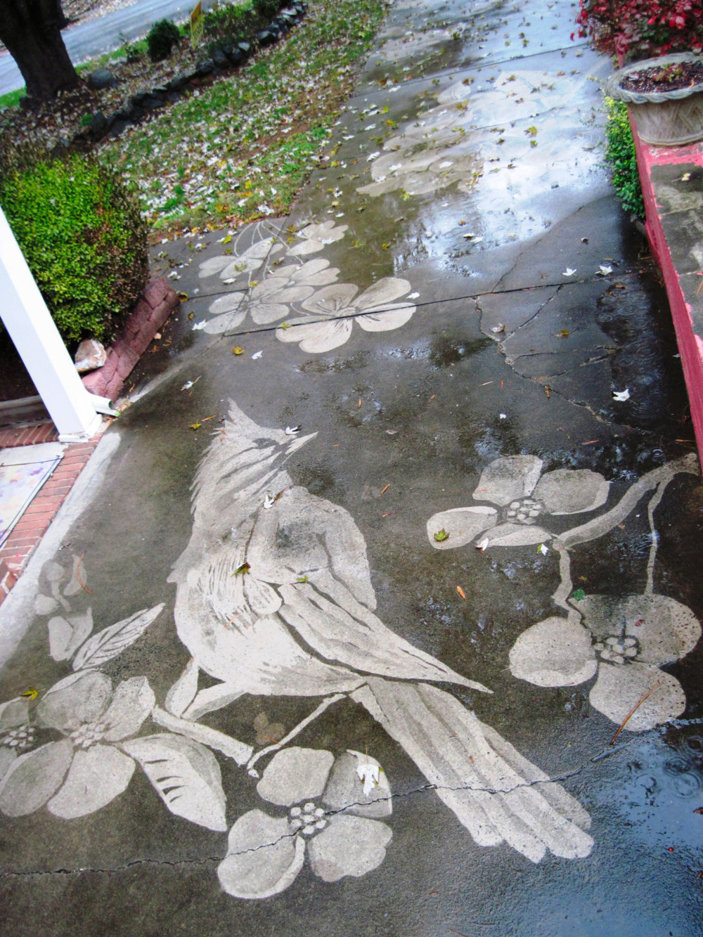 Gorgeous Figures Painted With A Power Washer On Dirty Driveways By Dianna Wood 2