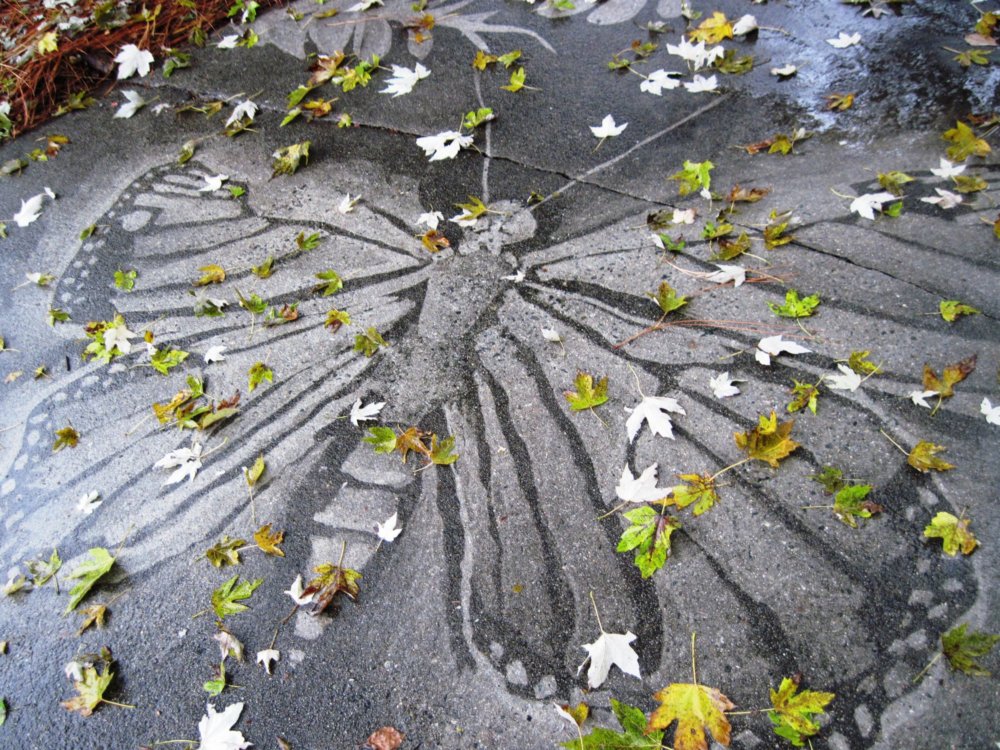 Gorgeous Figures Painted With A Power Washer On Dirty Driveways By Dianna Wood 3