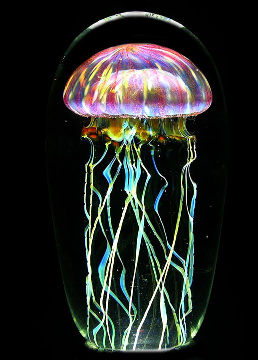 Gorgeous Glass Jellyfish Sculptures By Richard Satava 9