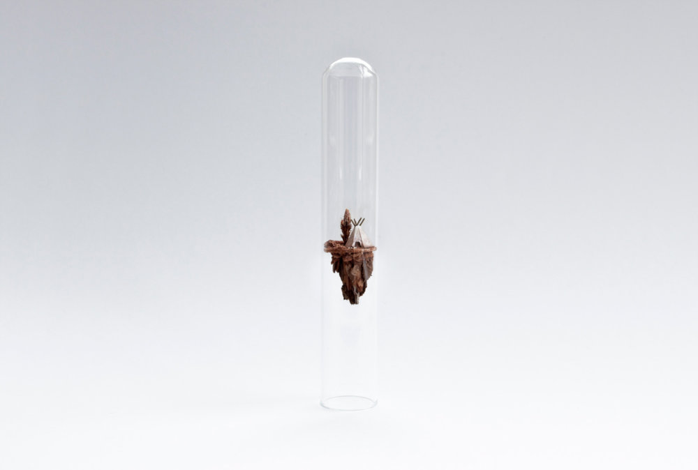 Micro Matter Mini Dioramas Inside Test Tubes By Rosa De Jong 21