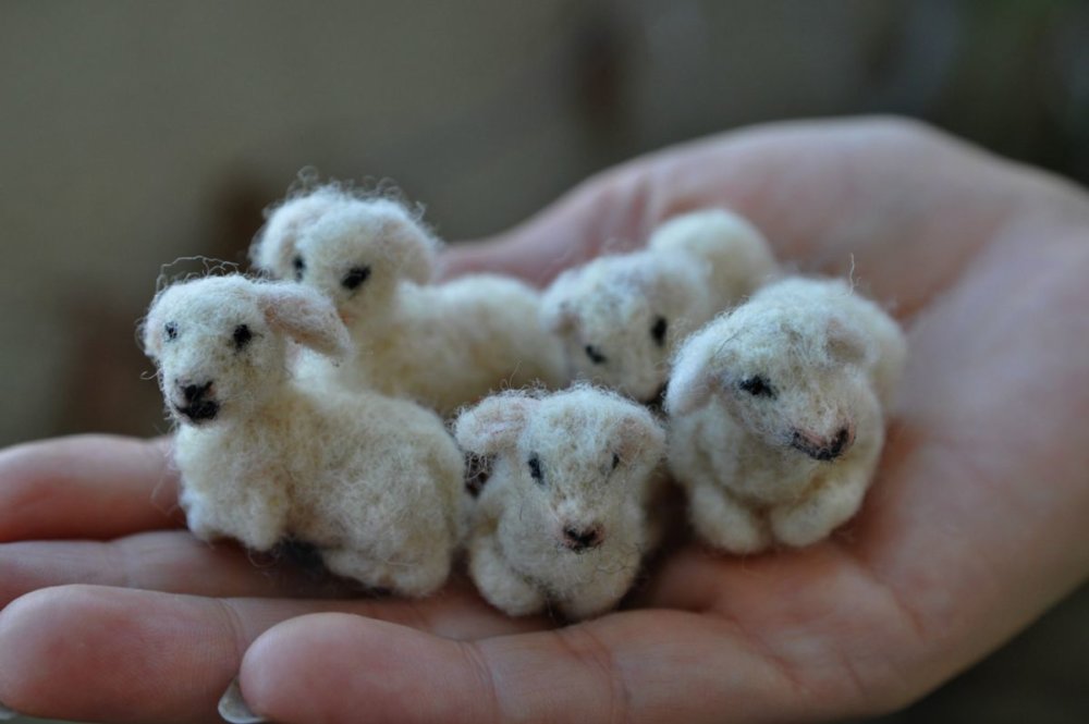 Needle Felted Animal Sculptures In Miniature By Daria Lvovsky 18