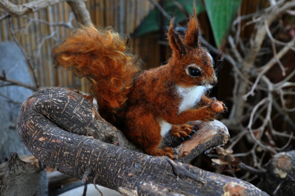 Needle Felted Animal Sculptures In Miniature By Daria Lvovsky 26