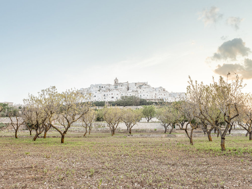 Ostuni The White Pearl By Tiago Marques And Tania De Pascalis 13