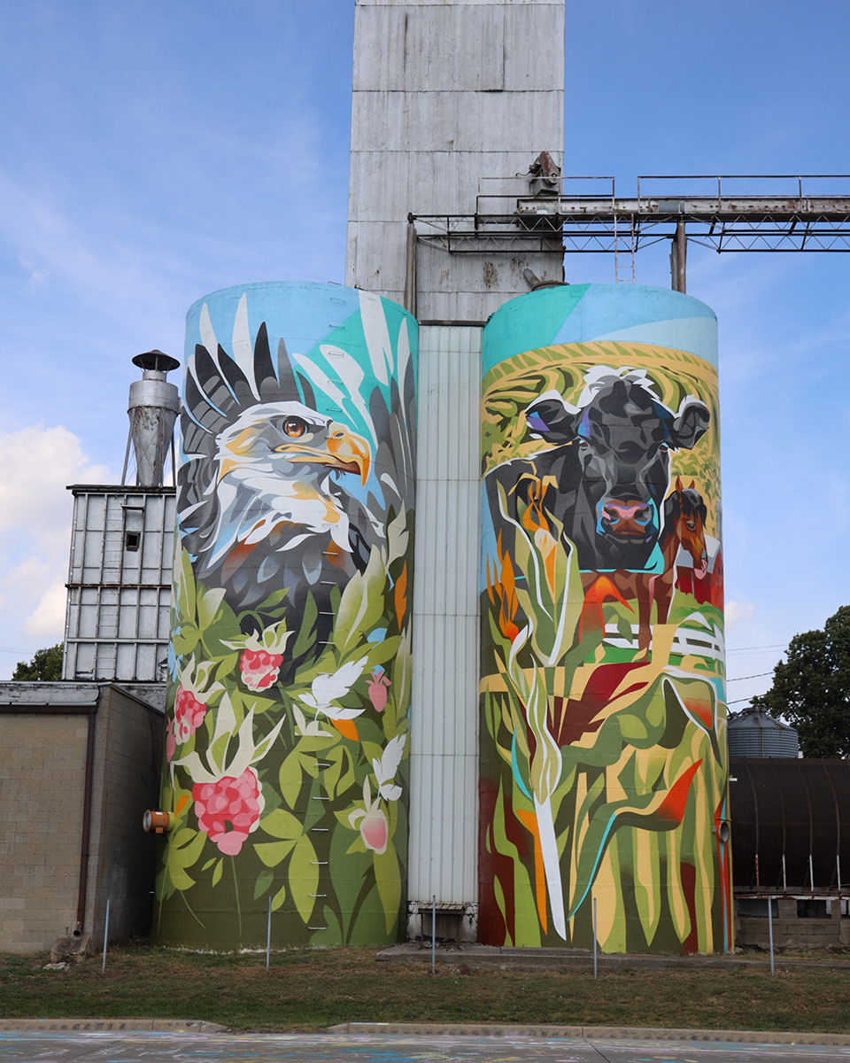 Silos Turned Into Amazingly Giant Murals By Key Detail 4
