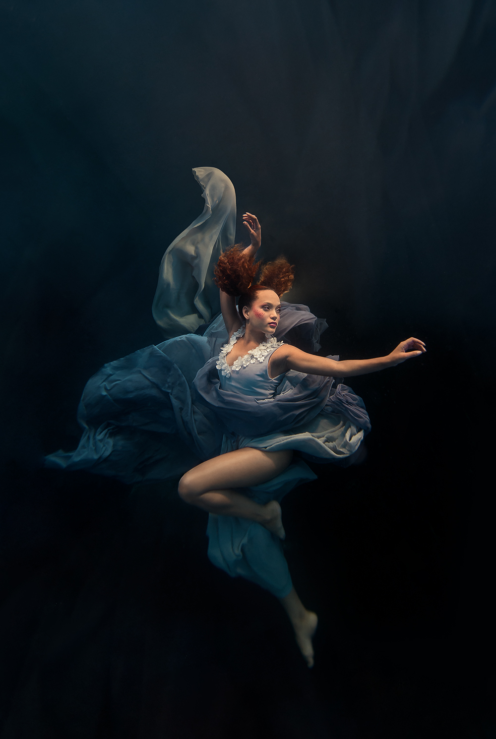 "Silver Swallow": a majestic underwater photography series by Ilse Moore 3