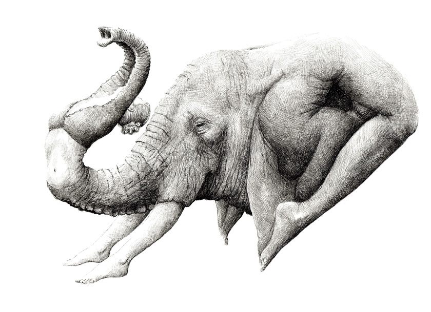 Surreal Black And White Animal Illustrations By Redmer Hoekstra 12