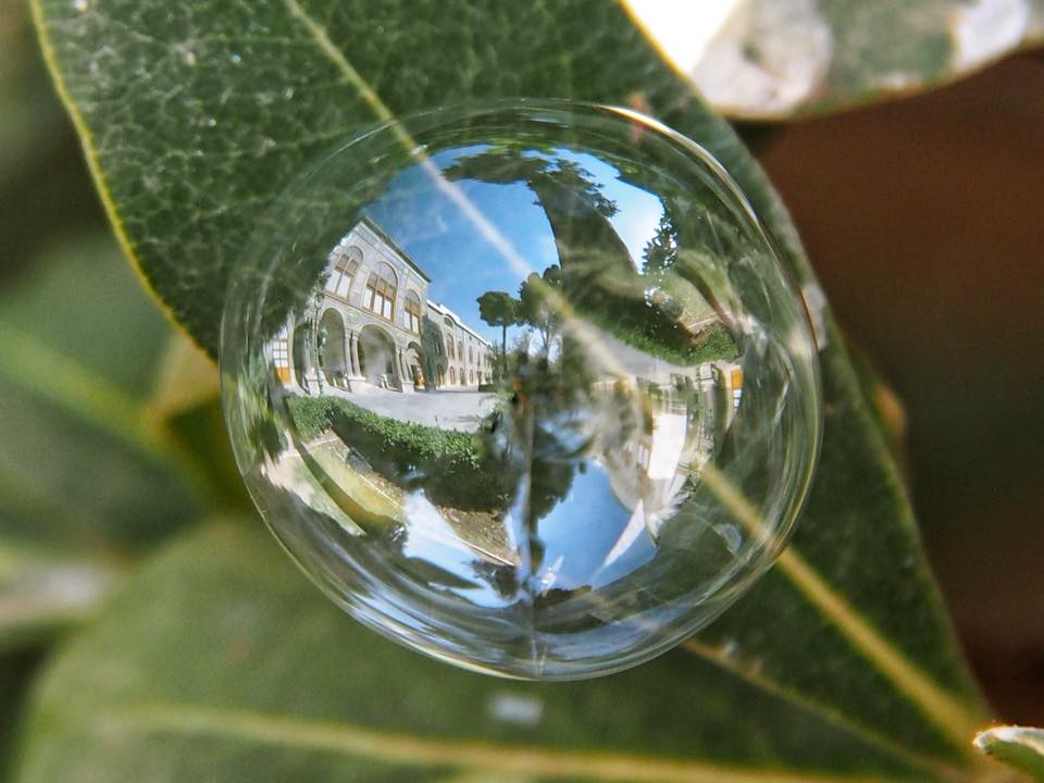 The World From The Point Of View Of Soap Bubbles By Khaled Youssef 2