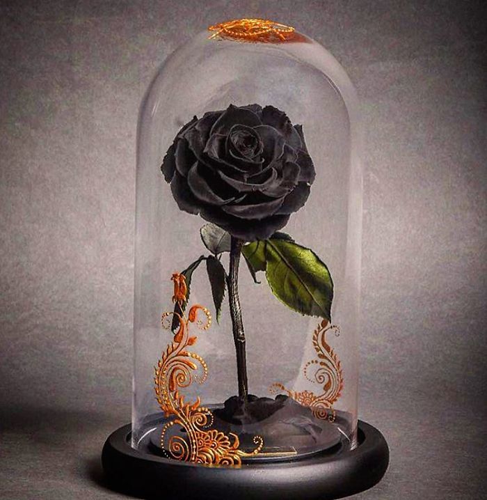Beautiful Roses Preserved Underneath Glass Domes That Can Last For 3 Years By Forever Rose 10