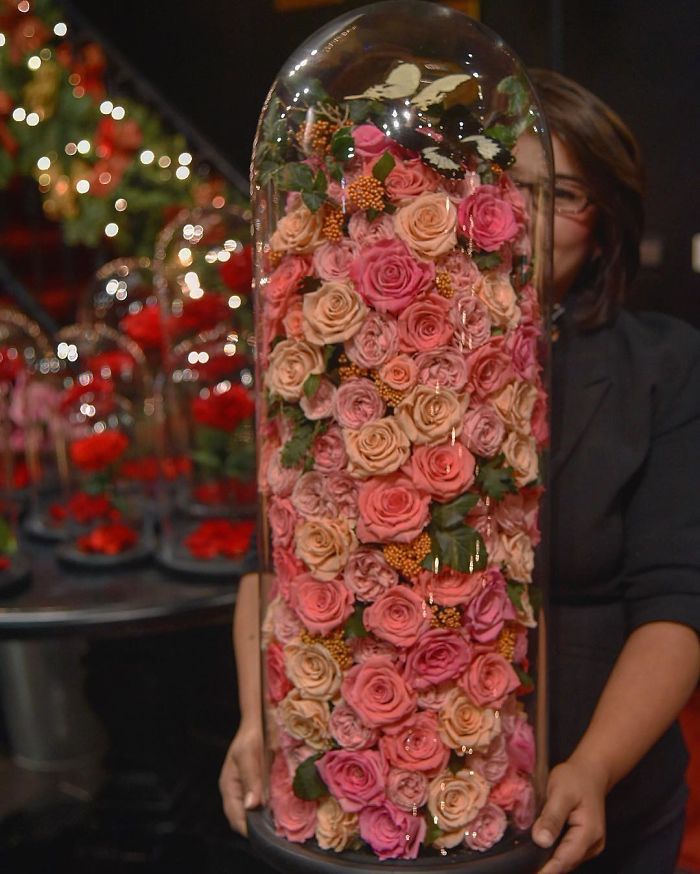 Beautiful Roses Preserved Underneath Glass Domes That Can Last For 3 Years By Forever Rose 11