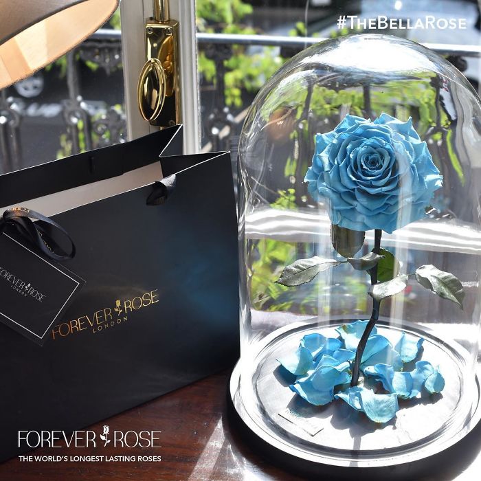 Beautiful Roses Preserved Underneath Glass Domes That Can Last For 3 Years By Forever Rose 12