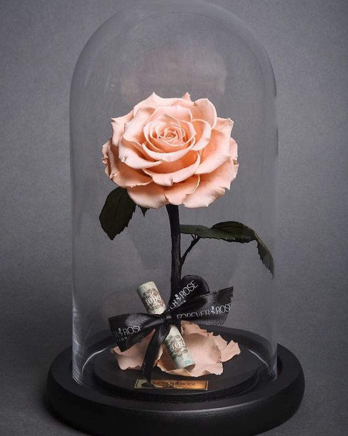 Beautiful Roses Preserved Underneath Glass Domes That Can Last For 3 Years By Forever Rose 18