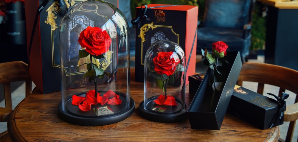 Beautiful Roses Preserved Underneath Glass Domes That Can Last For 3 Years By Forever Rose 26