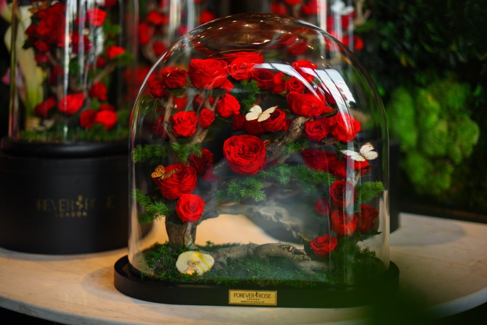 Beautiful Roses Preserved Underneath Glass Domes That Can Last For 3 Years By Forever Rose 27
