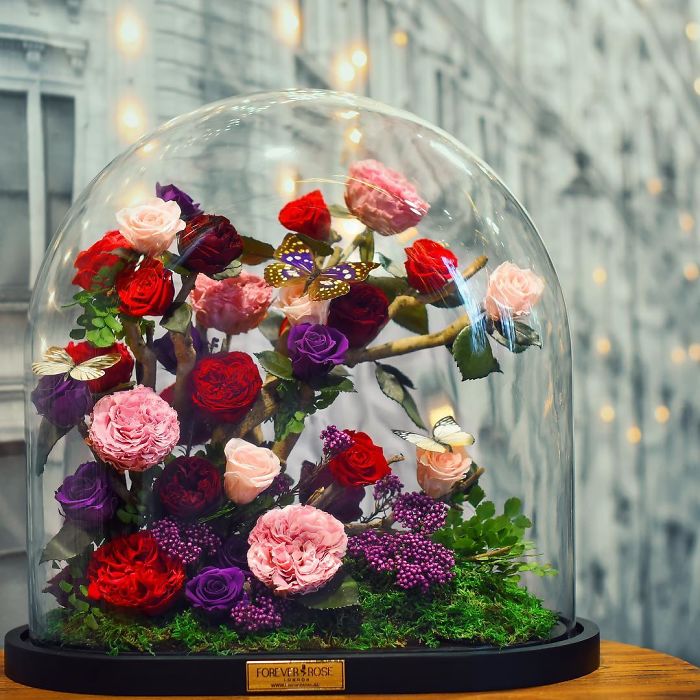 Beautiful Roses Preserved Underneath Glass Domes That Can Last For 3 Years By Forever Rose 4