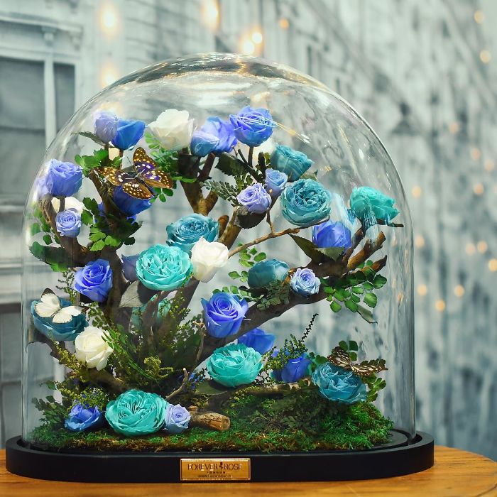 Beautiful Roses Preserved Underneath Glass Domes That Can Last For 3 Years By Forever Rose 5