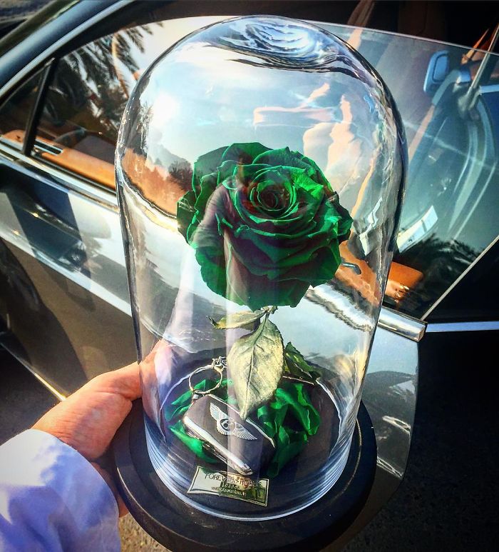 Beautiful Roses Preserved Underneath Glass Domes That Can Last For 3 Years By Forever Rose 6