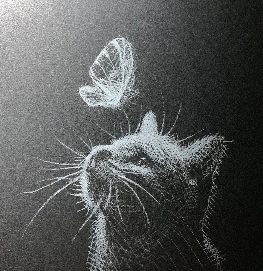 Inverted Marvelous Drawings And Sketches Made With White Pencil On Black Paper By Kay Lee 1