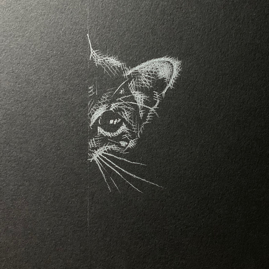 Inverted Marvelous Drawings And Sketches Made With White Pencil On Black Paper By Kay Lee 11