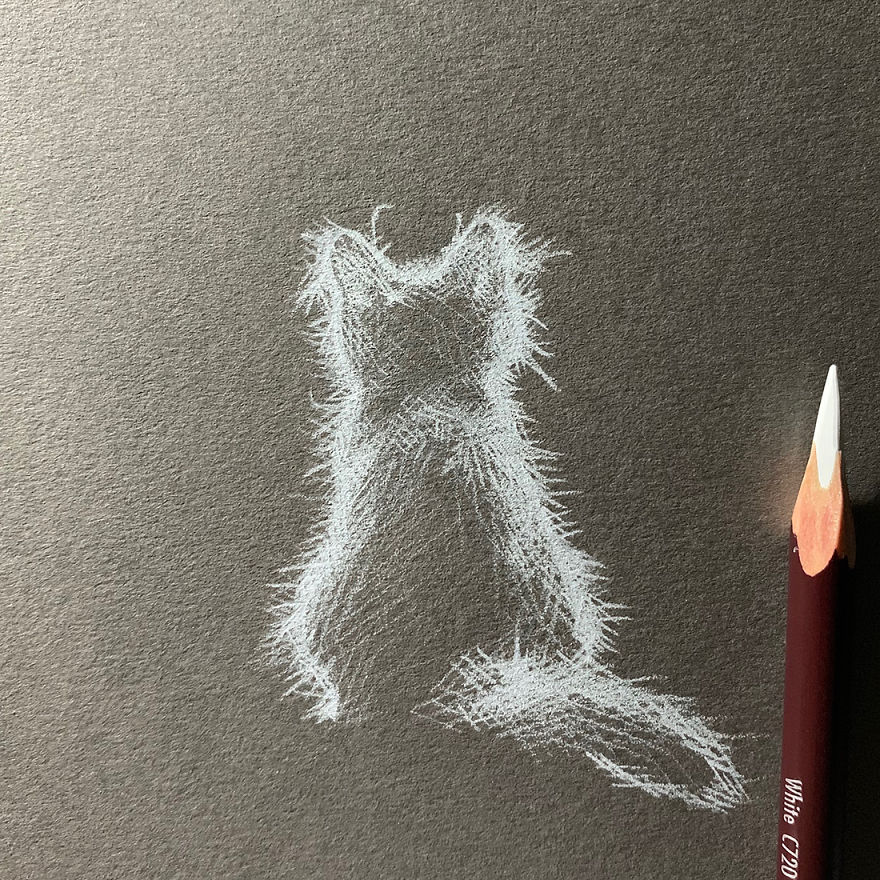 Inverted Marvelous Drawings And Sketches Made With White Pencil On Black Paper By Kay Lee 13