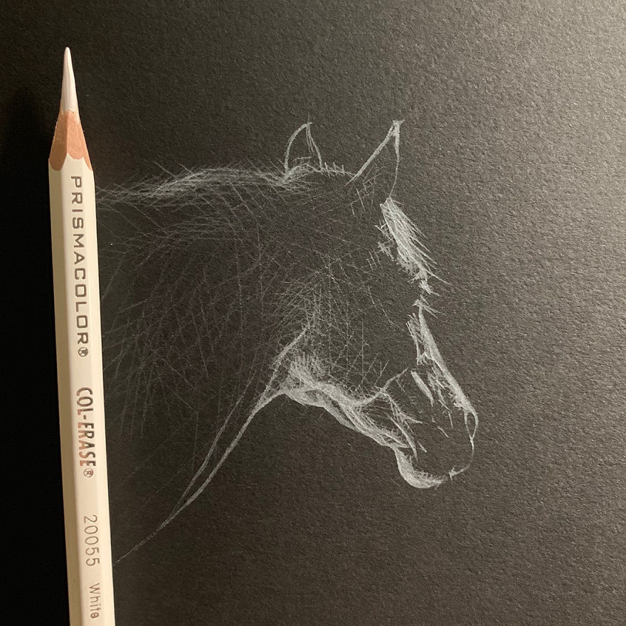 Inverted Marvelous Drawings And Sketches Made With White Pencil On Black Paper By Kay Lee 17