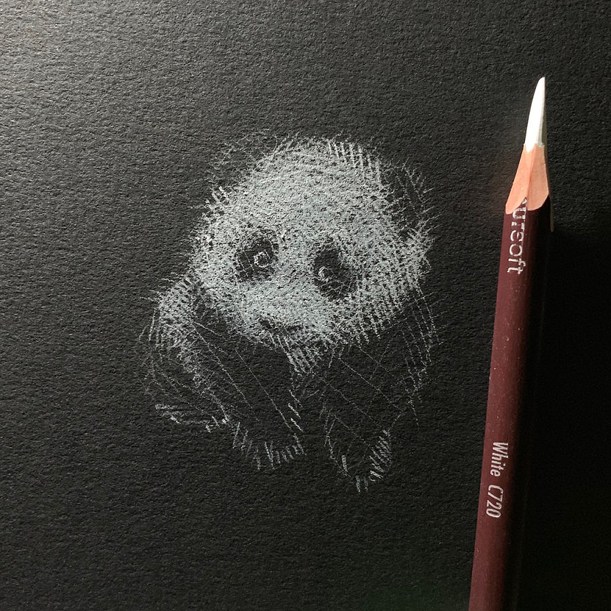 Inverted Marvelous Drawings And Sketches Made With White Pencil On Black Paper By Kay Lee 3