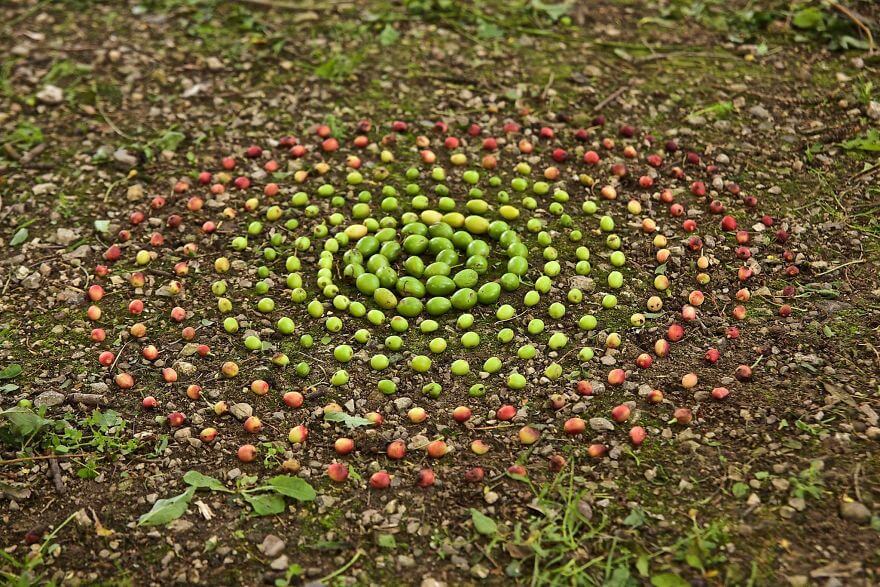Marvelous Cairns And Mandalas Made From Leaves And Rocks By James Brunt 12