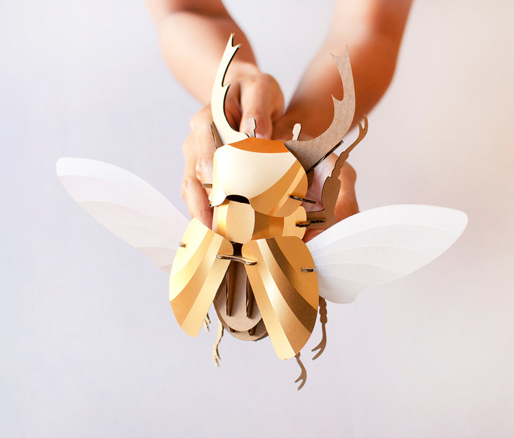 Smart Diy Paper Beetle Sculpture Kits By Assembli 3