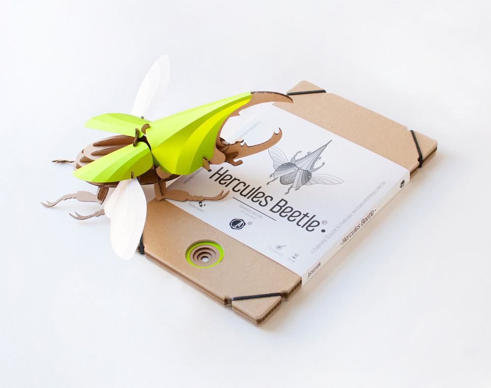 Smart Diy Paper Beetle Sculpture Kits By Assembli 6