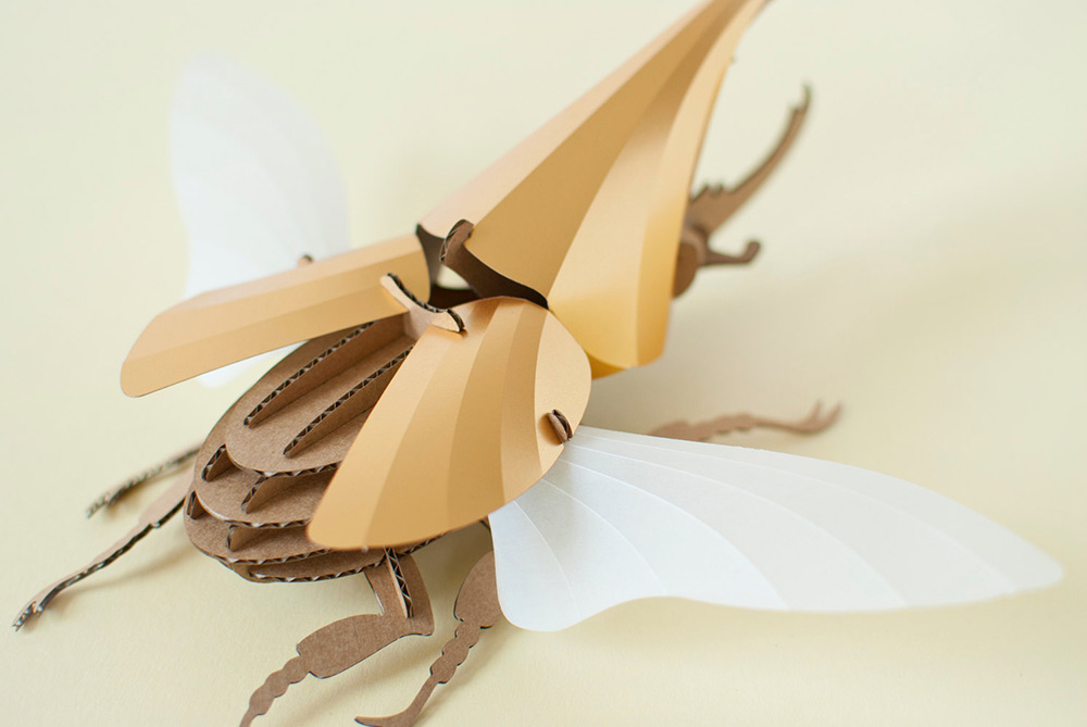 Smart Diy Paper Beetle Sculpture Kits By Assembli 7