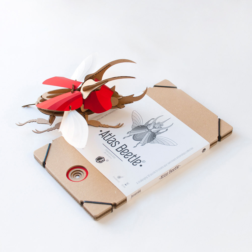 Smart Diy Paper Beetle Sculpture Kits By Assembli 8