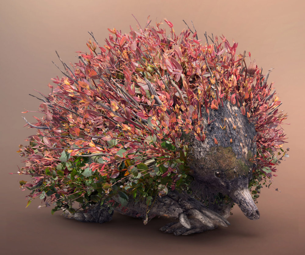 Terraform Fantastical Creatures Made Out Of Natures Elements By Josh Dykgraaf 12