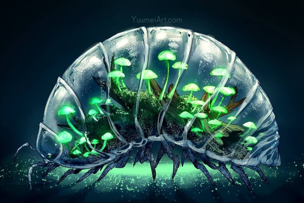 Clever Illustrations Of Animals Turned Into Aquariums And Terrariums By Wenqing Yan 4