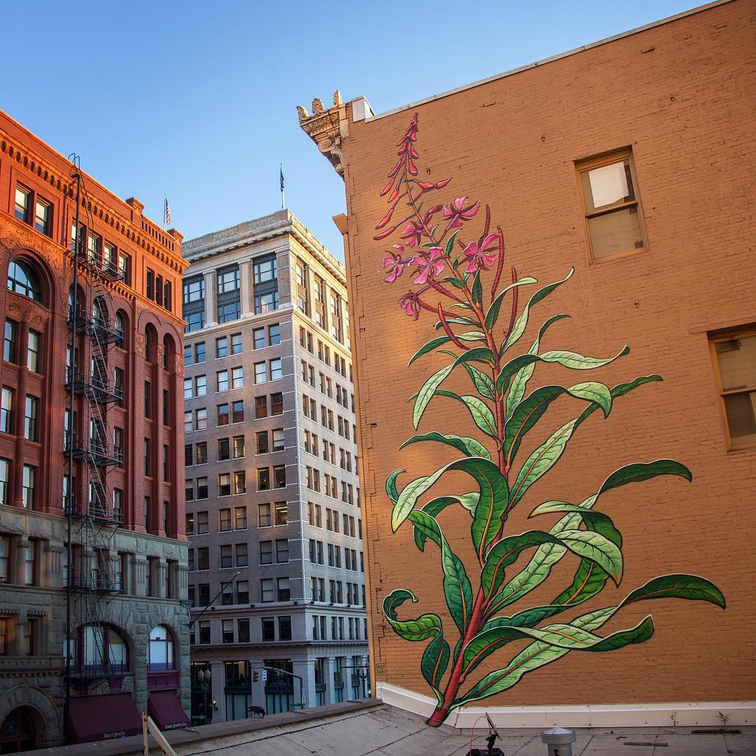 Marvelous Giant Murals Of Weeds In Bloom By Mona Caron 4