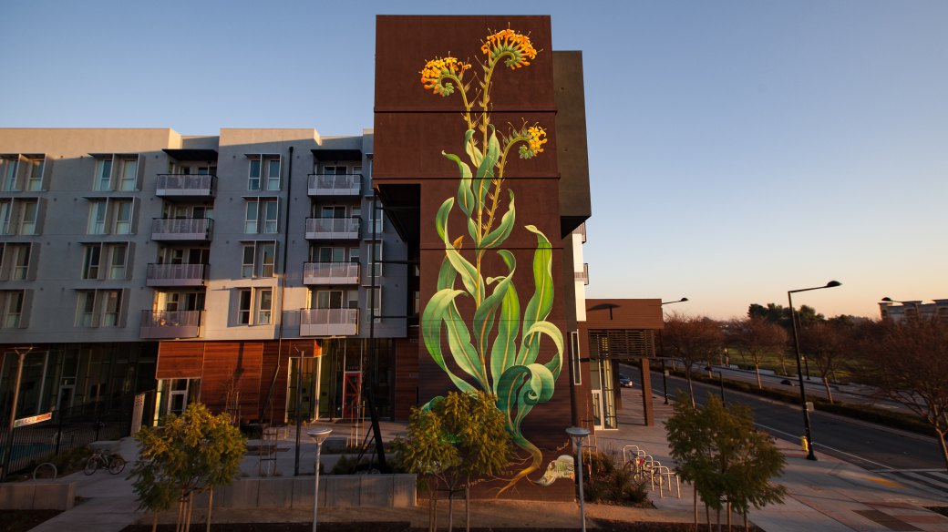 Marvelous Giant Murals Of Weeds In Bloom By Mona Caron (6)