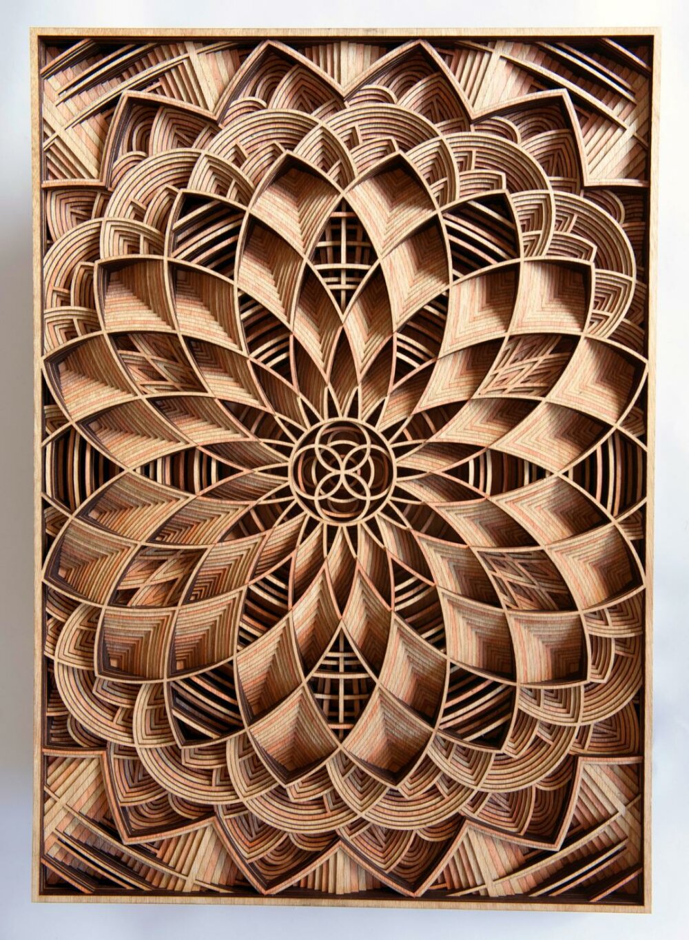 Stunning Laser Cut Wood Relief Sculptures By Gabriel Schama 6